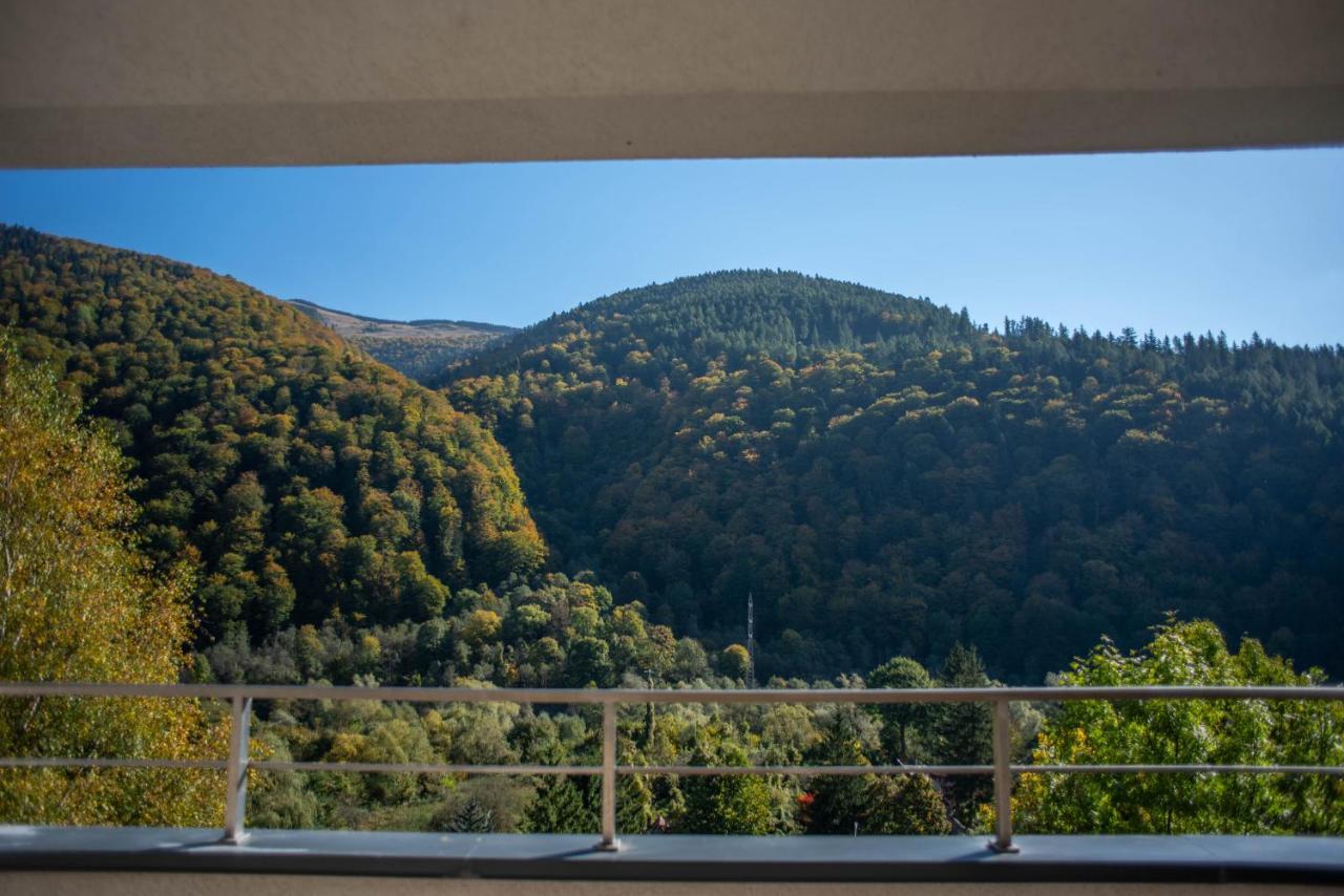 Blue Forest Studio Sinaia Dış mekan fotoğraf