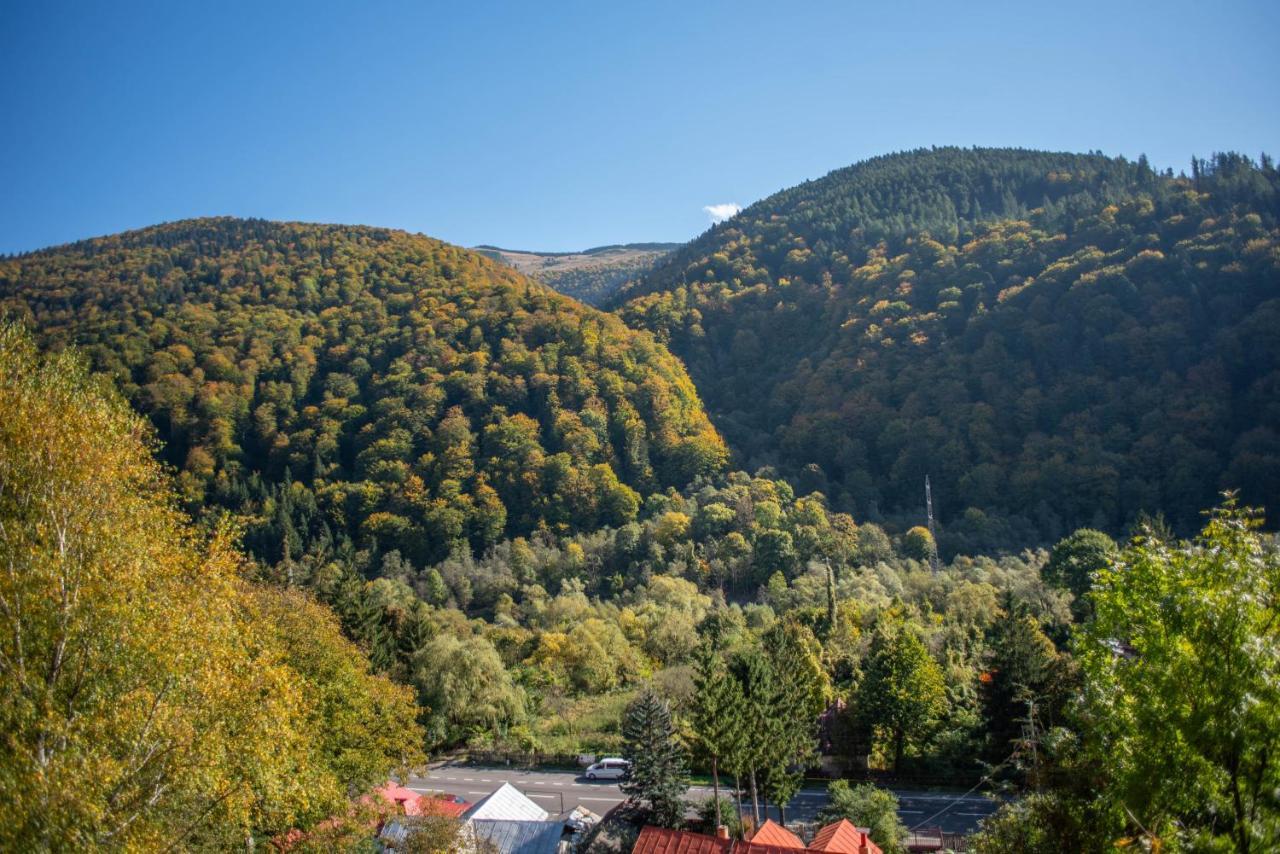 Blue Forest Studio Sinaia Dış mekan fotoğraf