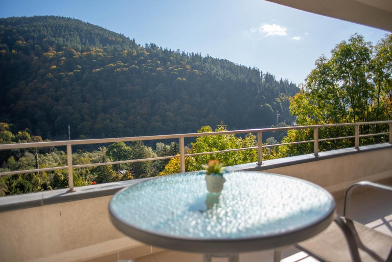 Blue Forest Studio Sinaia Dış mekan fotoğraf