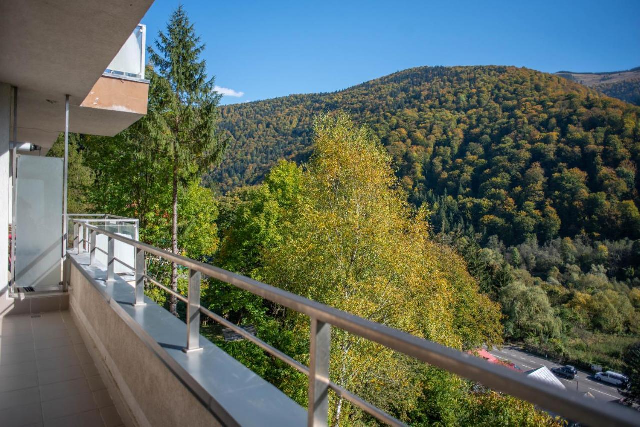 Blue Forest Studio Sinaia Dış mekan fotoğraf